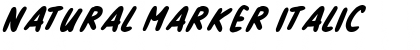 Download Natural Marker Font Download Natural Marker Font