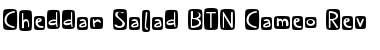 Download Cheddar Salad BTN Cameo Rev Font Download Cheddar Salad BTN Cameo Rev Font