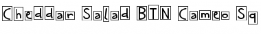 Download Cheddar Salad BTN Cameo Sq Font Download Cheddar Salad BTN Cameo Sq Font