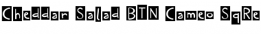 Download Cheddar Salad BTN Cameo SqRev Font Download Cheddar Salad BTN Cameo SqRev Font