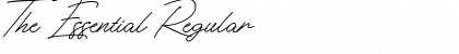 Download The Essential Font Download The Essential Font
