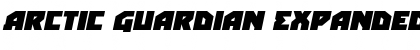 Download Arctic Guardian Expanded Italic Font Download Arctic Guardian Expanded Italic Font