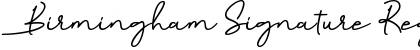 Download Birmingham Signature Font Download Birmingham Signature Font