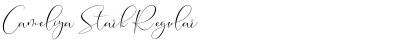 Download Cameliya Stark Font Download Cameliya Stark Font