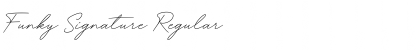 Download Funky Signature Font Download Funky Signature Font