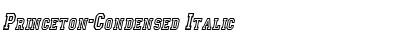 Download Princeton-Condensed Font Download Princeton-Condensed Font