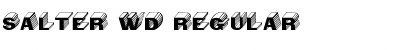 Download Salter Wd Font Download Salter Wd Font