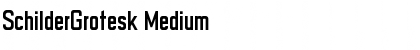 Download SchilderGrotesk Font Download SchilderGrotesk Font