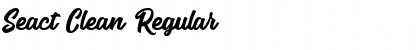 Download Seact Clean Font Download Seact Clean Font