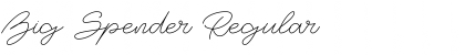 Download Big Spender Font Download Big Spender Font