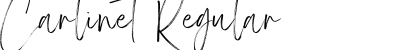 Download Carlinet Font Download Carlinet Font