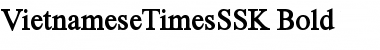 Download VietnameseTimesSSK Font Download VietnameseTimesSSK Font
