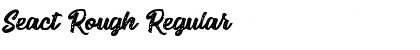 Download Seact Rough Font Download Seact Rough Font