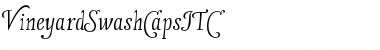 Download VineyardSwashCapsITC Font Download VineyardSwashCapsITC Font