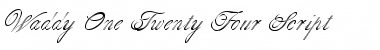 Download Waddy One Twenty Four Script Font Download Waddy One Twenty Four Script Font