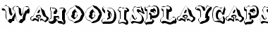 Download WahooDisplayCapsSSK Font Download WahooDisplayCapsSSK Font