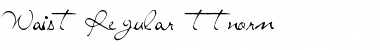 Download Waist Font Download Waist Font