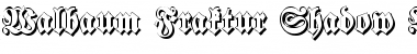 Download Walbaum-Fraktur Shadow Font Download Walbaum-Fraktur Shadow Font