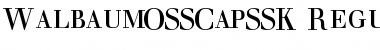Download WalbaumOSSCapSSK Font Download WalbaumOSSCapSSK Font