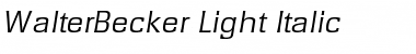 Download WalterBecker-Light Font Download WalterBecker-Light Font