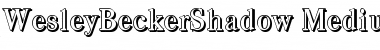 Download WesleyBeckerShadow-Medium Font Download WesleyBeckerShadow-Medium Font