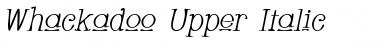 Download Whackadoo Upper Font Download Whackadoo Upper Font