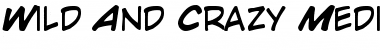 Download Wild And Crazy Font Download Wild And Crazy Font