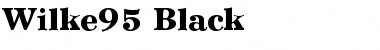 Download Wilke95-Black Font Download Wilke95-Black Font
