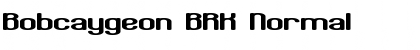 Download Bobcaygeon BRK Font Download Bobcaygeon BRK Font
