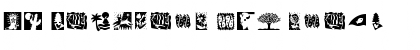 Download DF Naturals LET Font Download DF Naturals LET Font