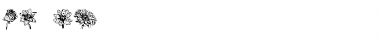Download Blumen Font Download Blumen Font