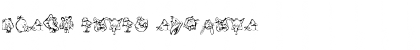 Download Birdy Slash Font Download Birdy Slash Font
