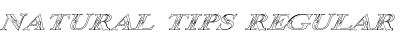 Download Natural Tips Font Download Natural Tips Font