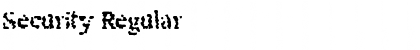 Download Security Font Download Security Font