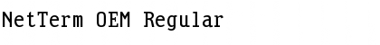 Download NetTerm OEM Font Download NetTerm OEM Font