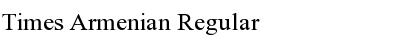 Download Times Armenian Font Download Times Armenian Font