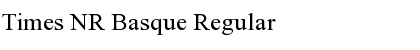 Download Times NR Basque Font Download Times NR Basque Font