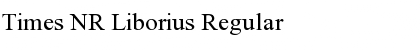Times NR Liborius Regular Font