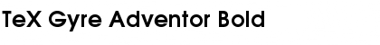 TeX Gyre Adventor Bold Font