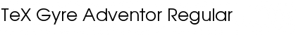TeX Gyre Adventor Regular Font