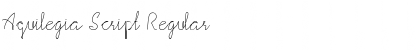 Download Aquilegia Script Font Download Aquilegia Script Font