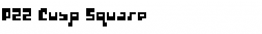 Download P22 Cusp Square Font Download P22 Cusp Square Font