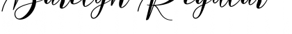 Download Barelyn Font Download Barelyn Font