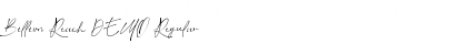 Download Billion Reach DEMO Font Download Billion Reach DEMO Font