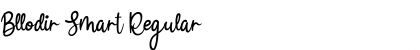 Download Bllodir Smart Font Download Bllodir Smart Font