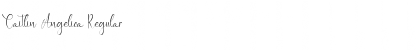 Download Caitlin Angelica Font Download Caitlin Angelica Font