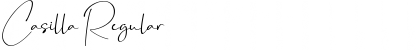 Download Casilla Font Download Casilla Font