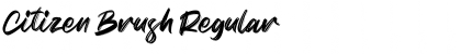 Download Citizen Brush Font Download Citizen Brush Font