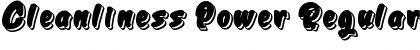 Download Cleanliness Power Font Download Cleanliness Power Font