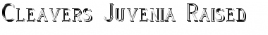 Download Cleaver's_Juvenia_Raised Font Download Cleaver's_Juvenia_Raised Font